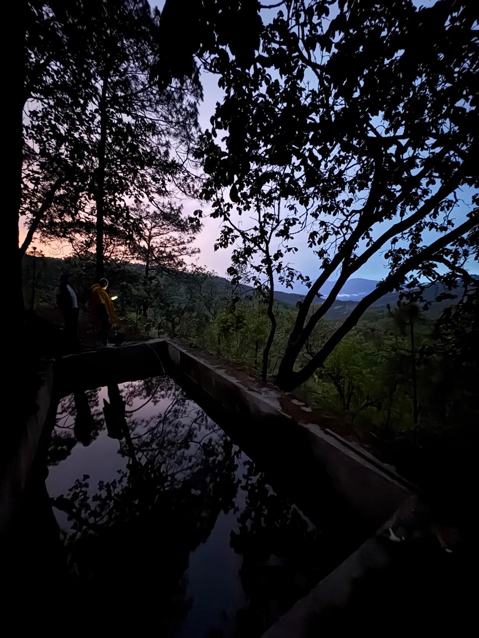 Construcción entre la niebla y el bosque